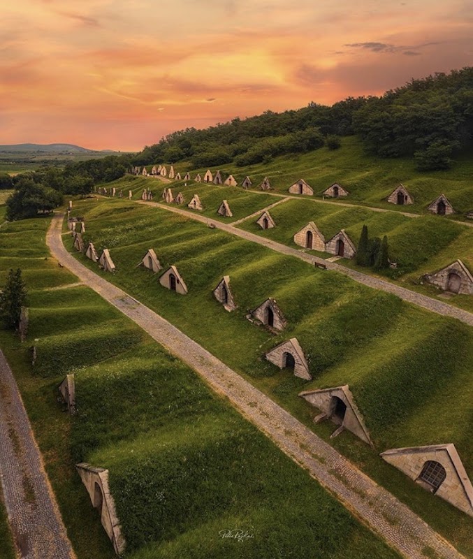 Götz Pincészet Gombos-hegyi Pincesor UNESCO