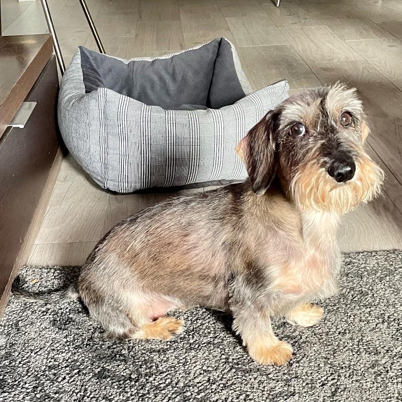 Clínica Veterinaria Marbella