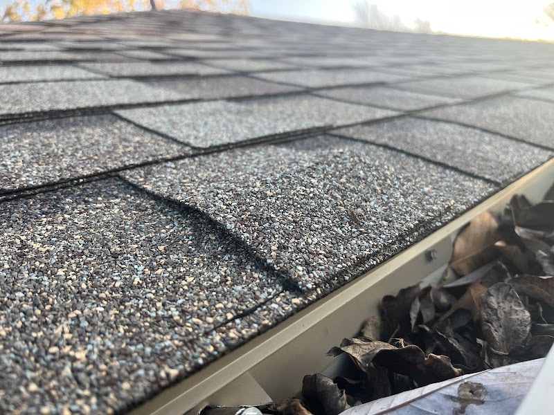 Barrier Roofs photo 1