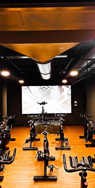 Palestra McFIT Catania