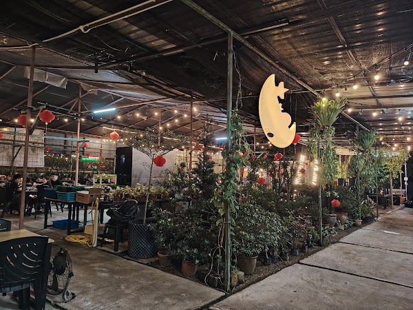 Chinchilla Mookata Machang Bubok - Photo 1