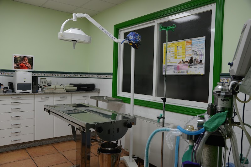 Centro Veterinario Don Guau