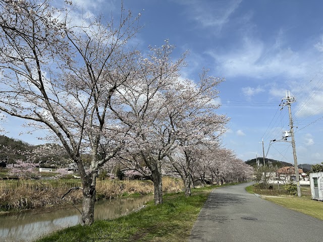 Kasai Inter Country Club - Photo 9