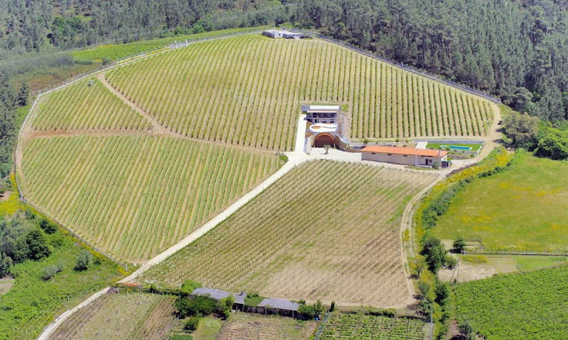 Bodega Eduardo Peña photo 1