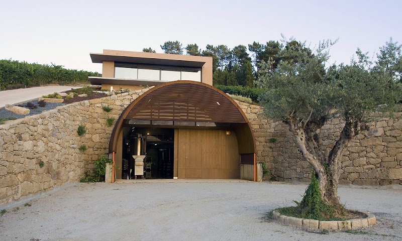 Bodega Eduardo Peña photo 5