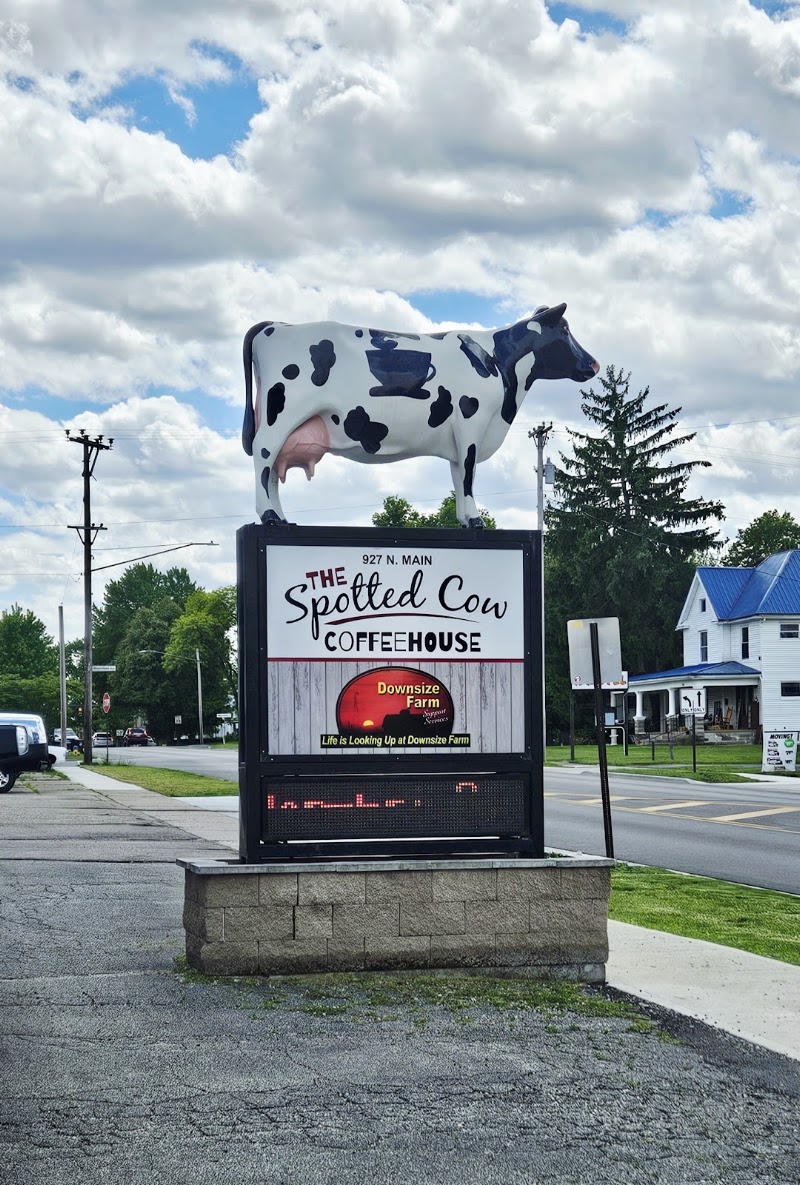 Spotted Cow Coffeehouse photo 3