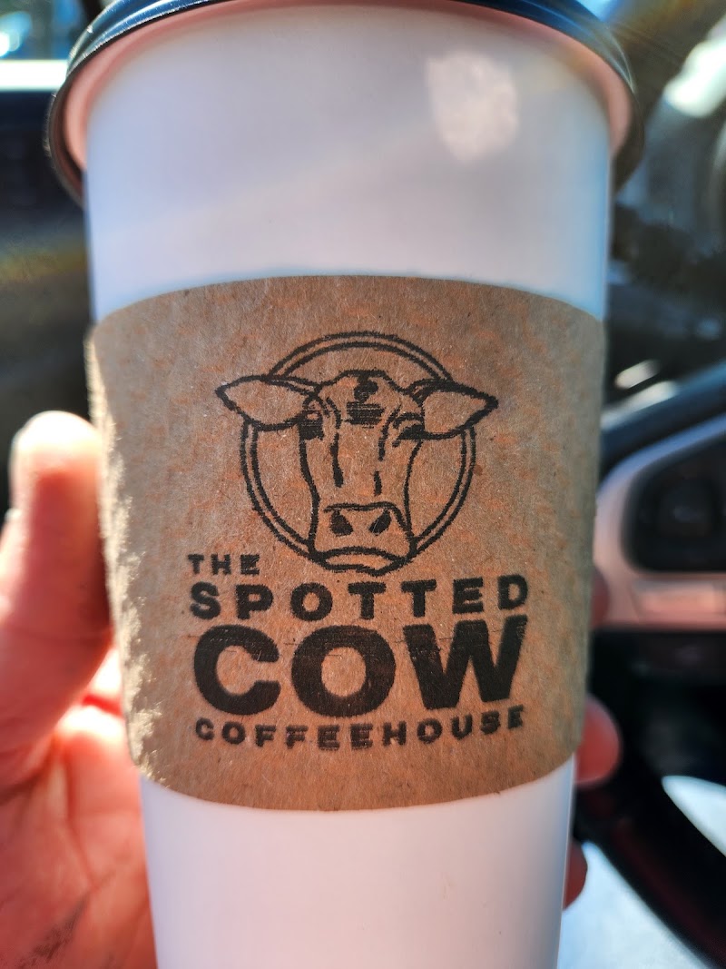 Spotted Cow Coffeehouse photo 4