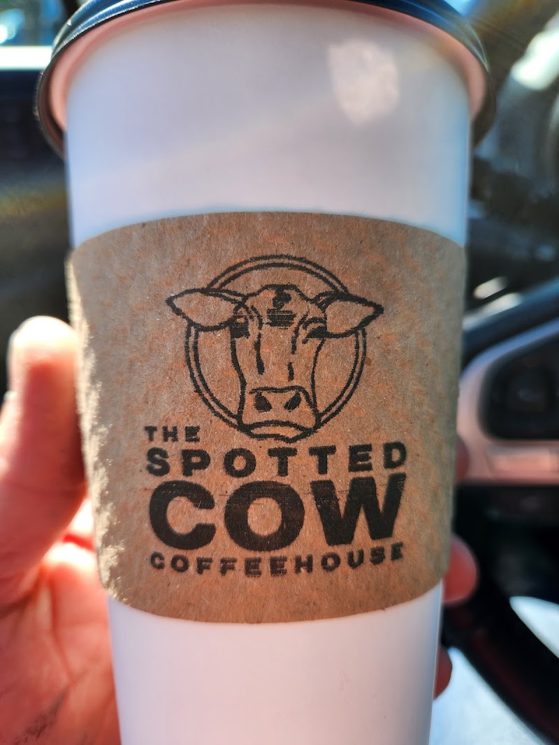 Spotted Cow Coffeehouse photo 4