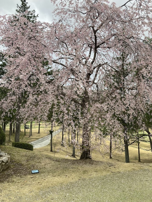 Yumoto Springs Country Club - Photo 9