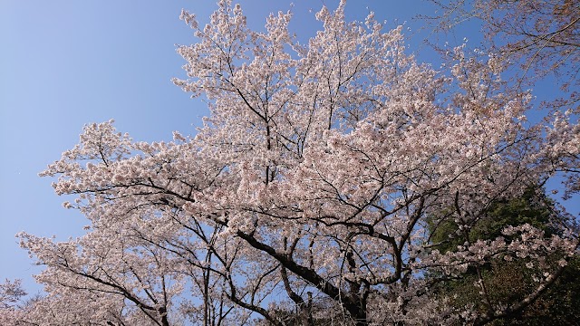 Chichibu International Country Club - Photo 3