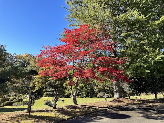 Chichibu International Country Club - Photo 9
