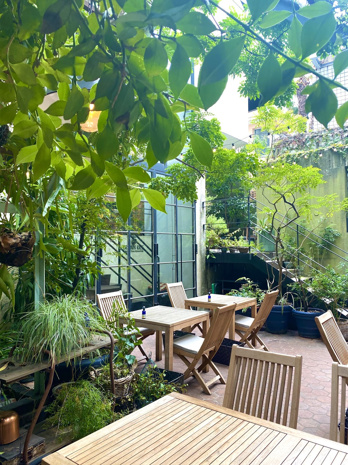 Brown Rice Tokyo Omotesando in tokyo