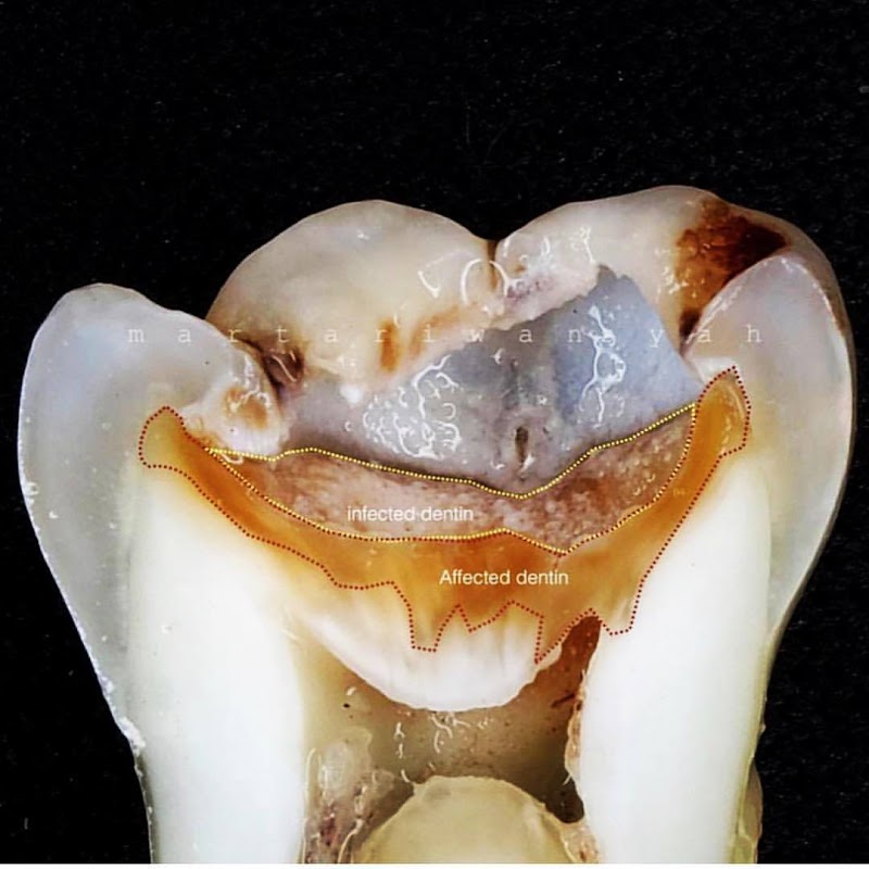 Dentista 24 horas (por demanda) - SPB Odontologia - foto 2