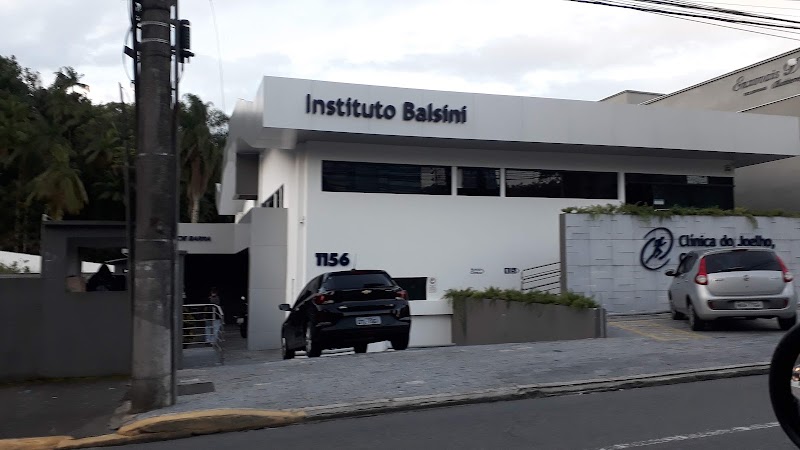 Instituto Balsini