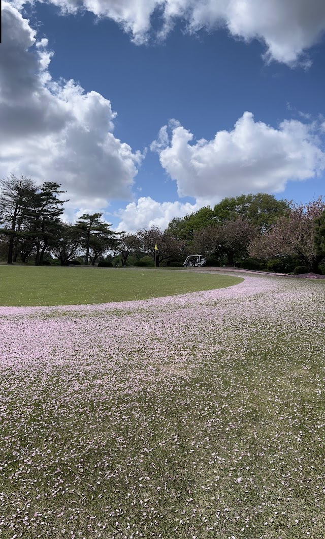 Niitsu Country Club - Photo 7