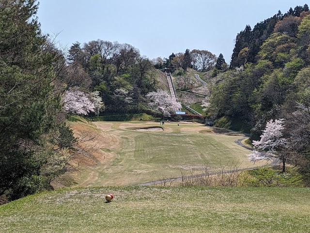 Niitsu Country Club - Photo 8