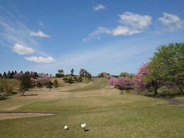 Niitsu Country Club - Photo 4