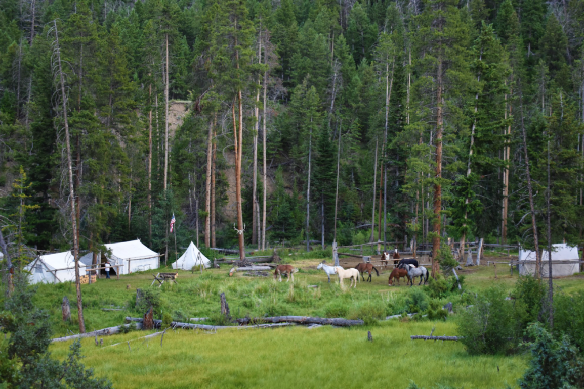 Elk Fork Outfitters