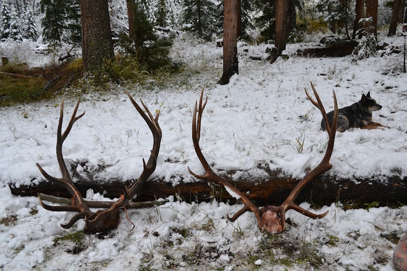 Elk Fork Outfitters - Photo 5