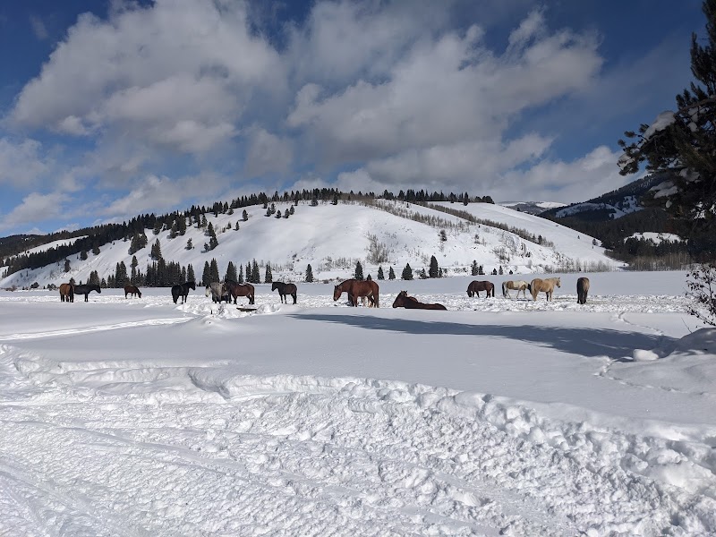 Box Y Ranch & Hunting Lodge - Photo 1