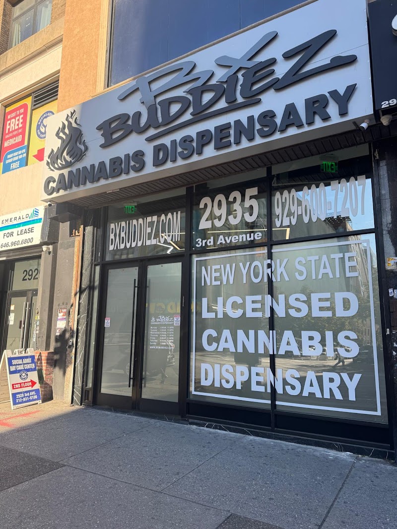 BX Buddiez