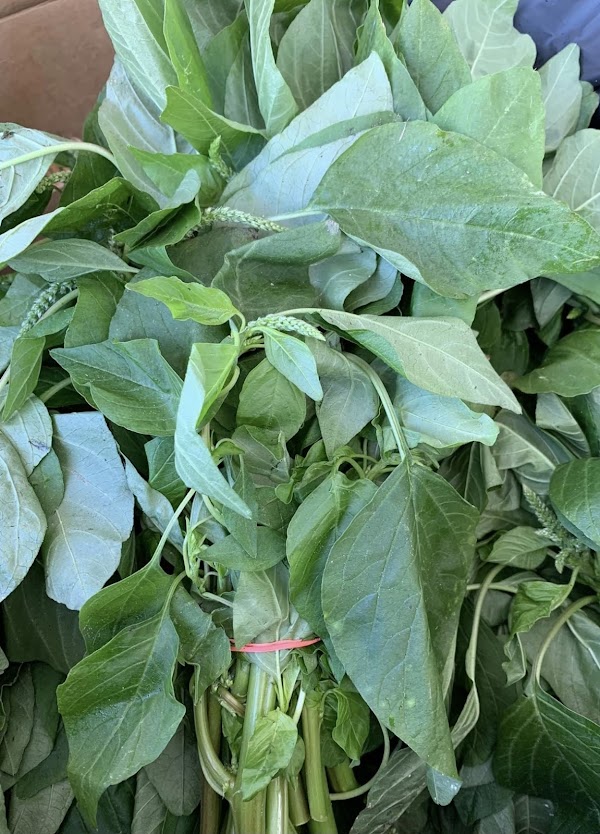 LES PETITES ACADEMIES exterior