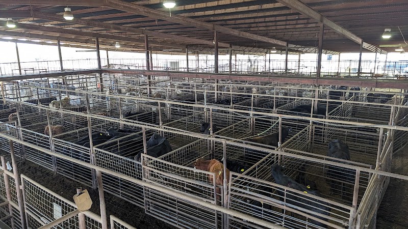 Longhorn Street Cafe photo 2