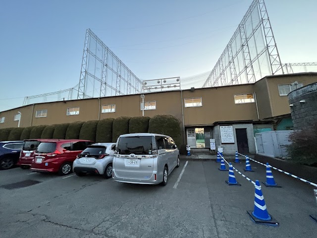 Suzuko Golf - Photo 10