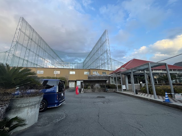 Suzuko Golf - Photo 7