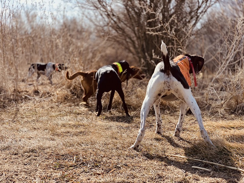 Cedar Valley Hunt Club TLC - Photo 4