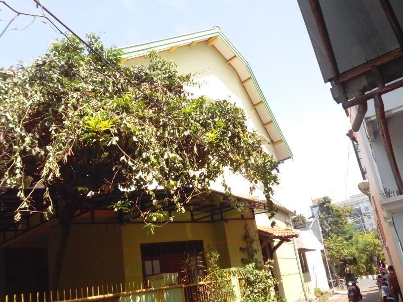 Kost Putra Siwungu