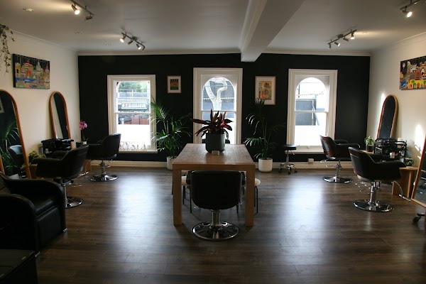 Richmond Hair Rescue photo 2