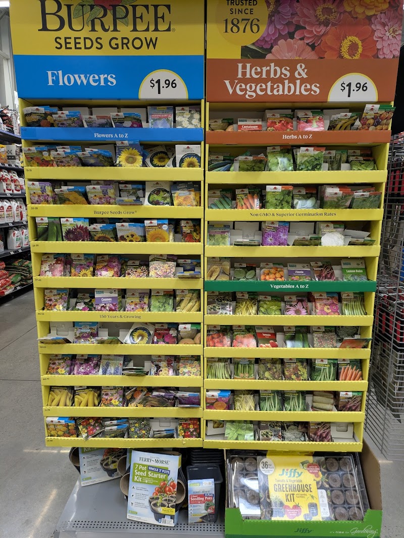 Walmart #586 photo