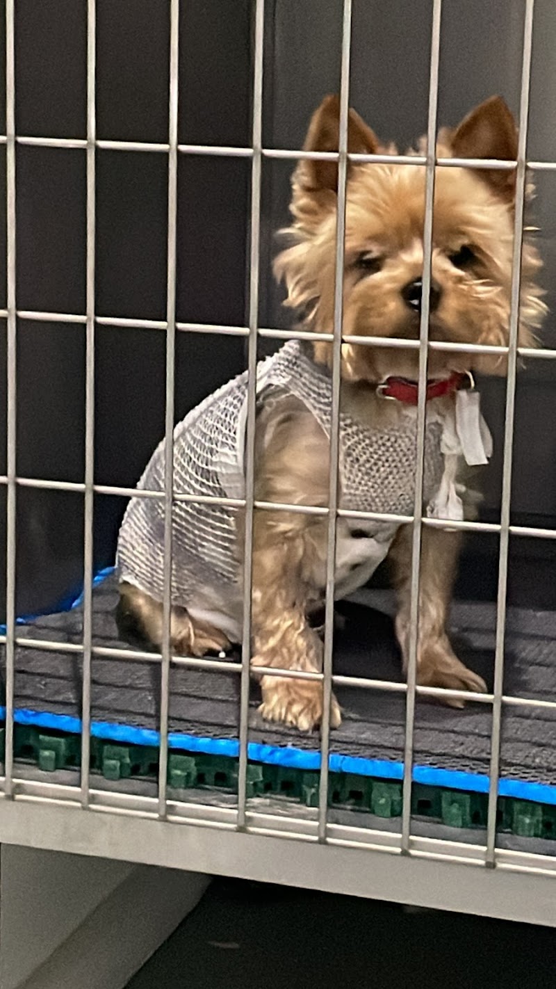 Clínica Veterinaria San Francisco