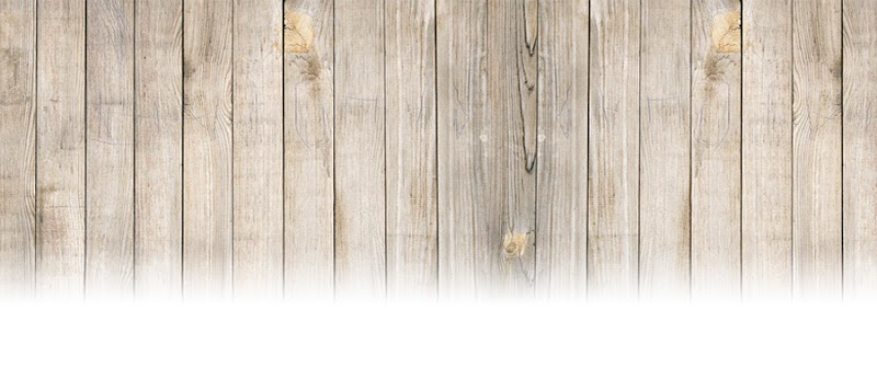 Kitchen Kuttings Cafe Inc. photo 4