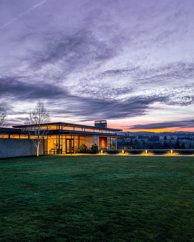 Ponzi Vineyards