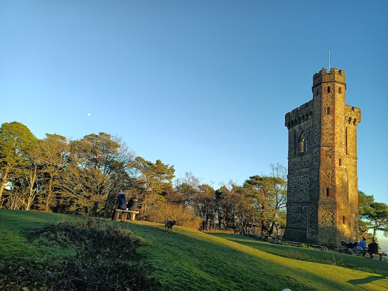 Leith Hill Tower