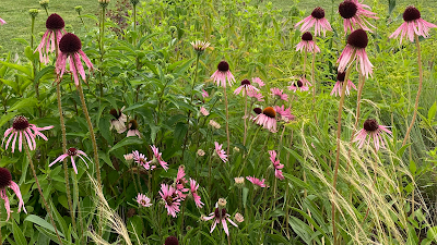 Reflection Riding Arboretum & Nature Center