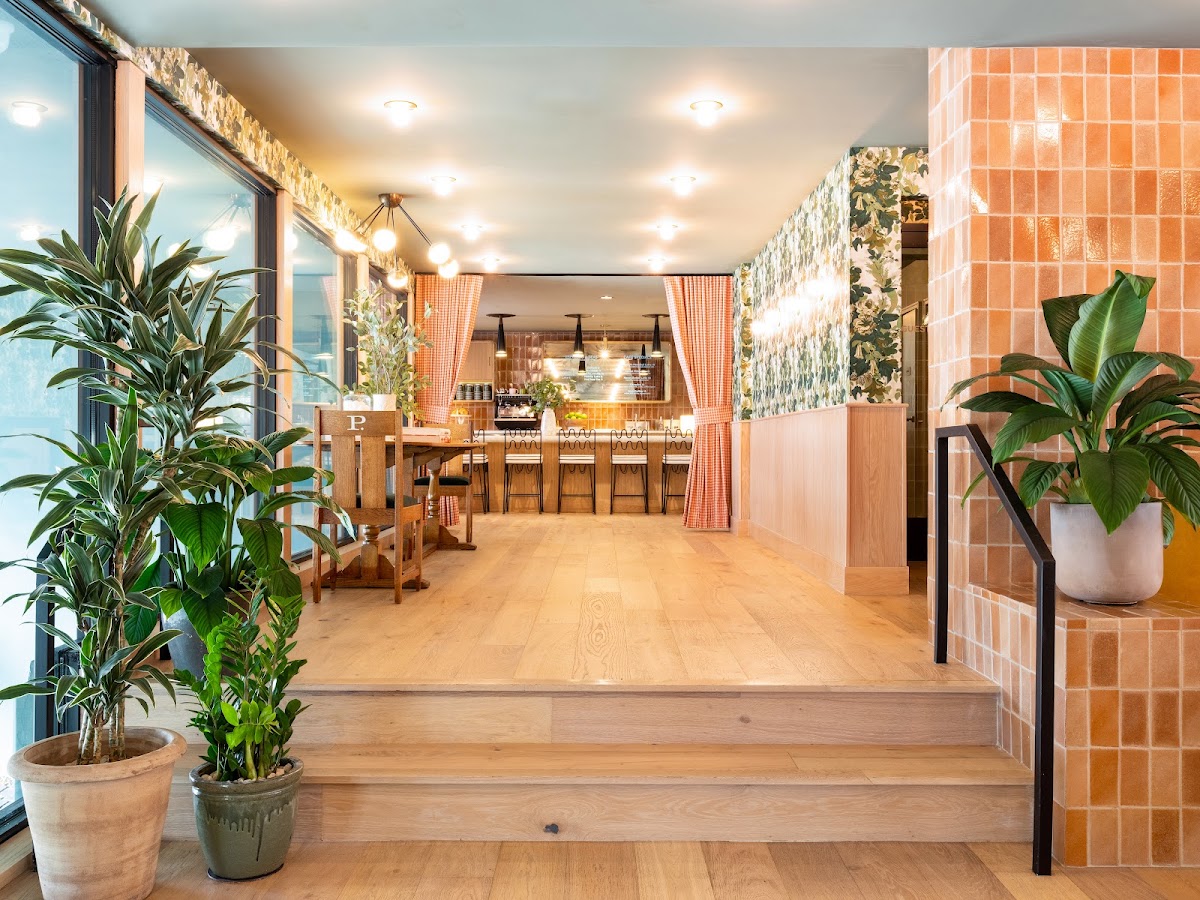 Palihotel Hollywood, dog-friendly hotel, photo 5