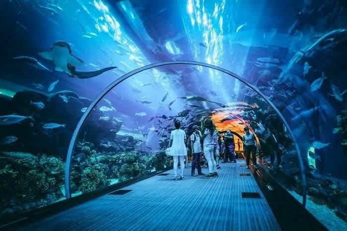 Ripley's Aquarium of Canada