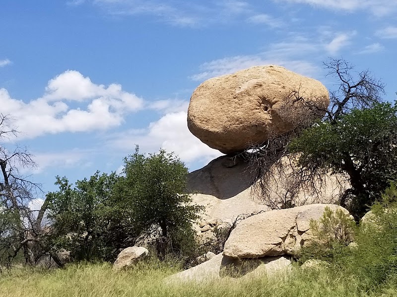 Triangle T Guest Ranch - Photo 2