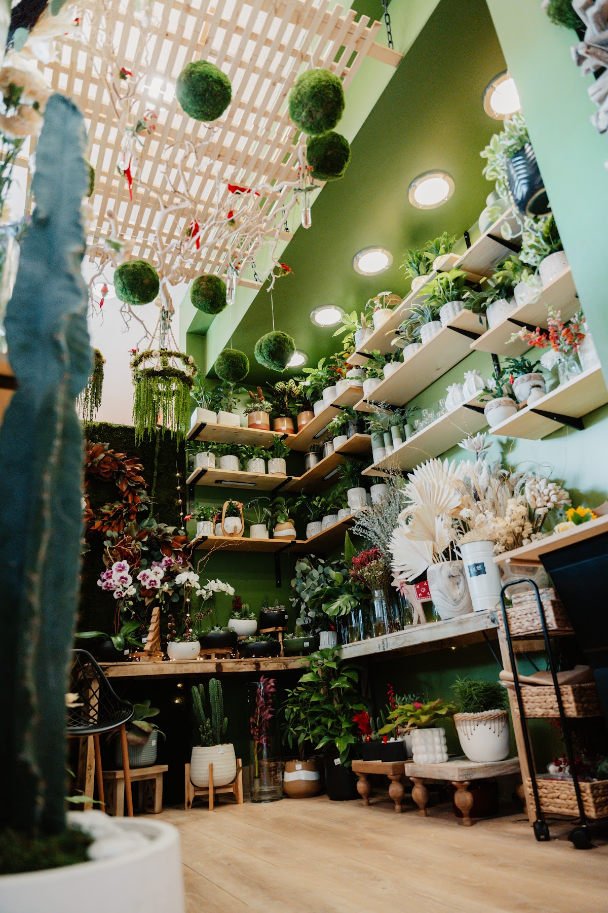 Flor + Palma: Google Places image 2
