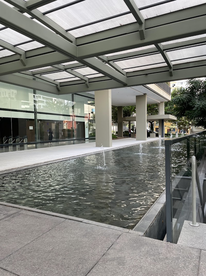 Portal do Sorriso - foto 4