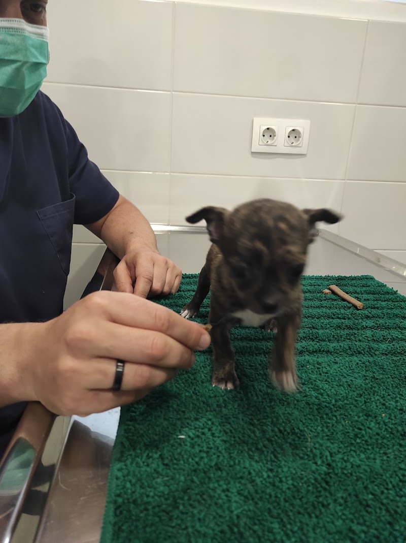 Clínica Veterinaria Los Prados