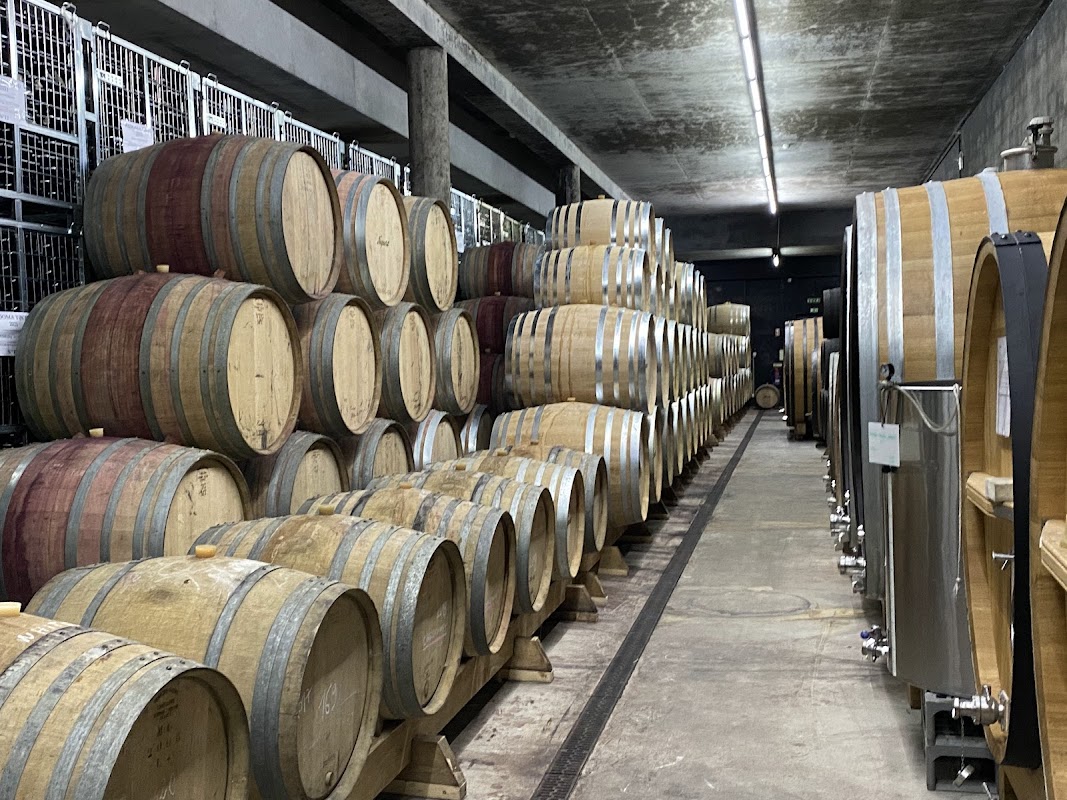 Quinta de Nápoles (Niepoort wines)