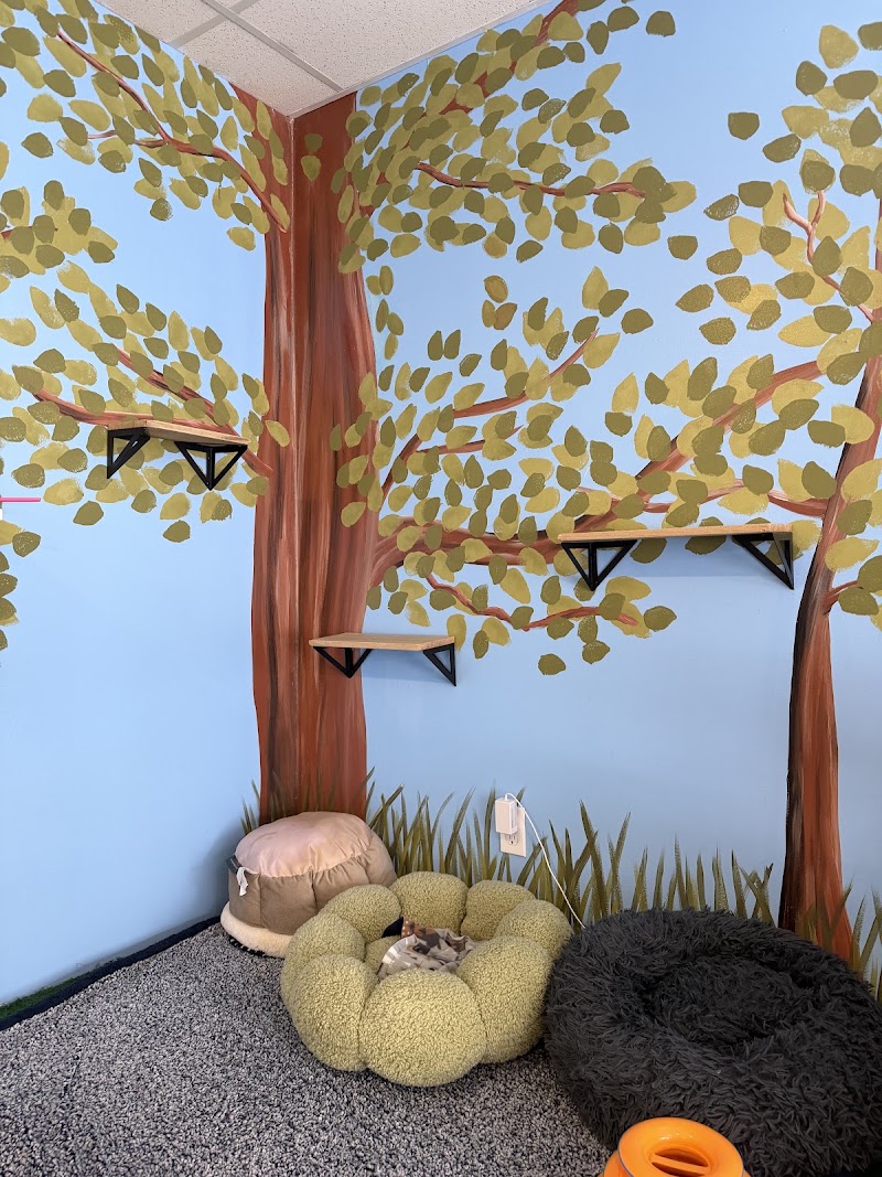 Bajah's Cat Cafe photo 3