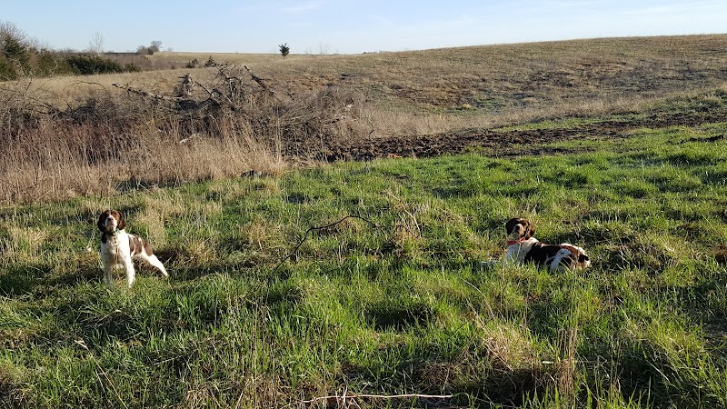 Union County Bird Dog Ranch - Photo 1