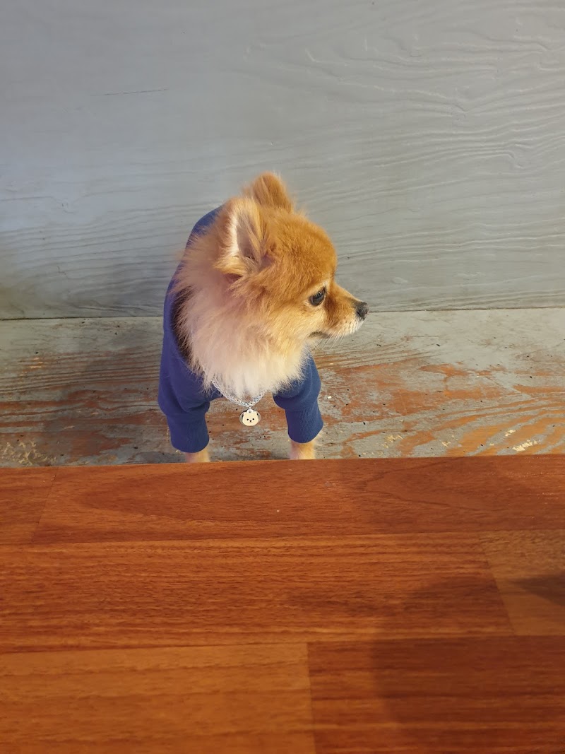 독크루 사진 2