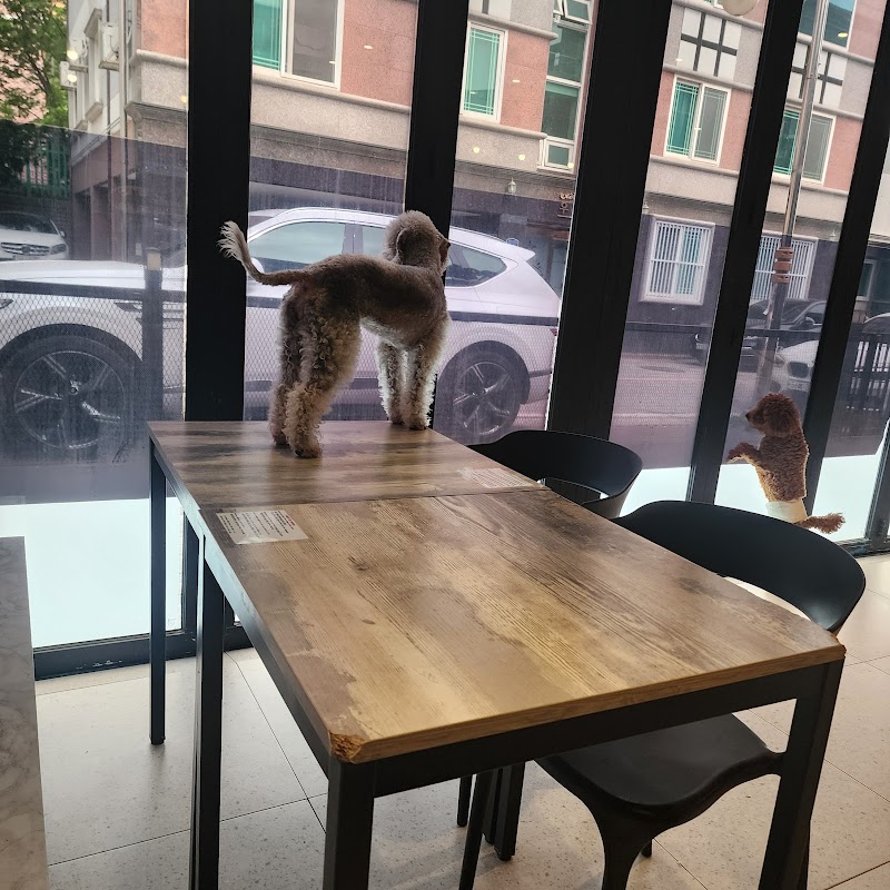 독크루 반려동물 동반 카페