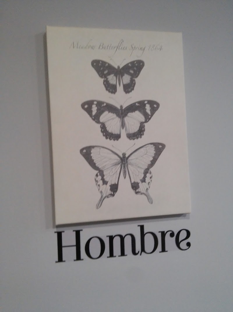 Peluquerias Bolboreta photo 3